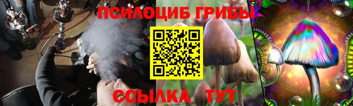 Псилоцибиновые грибы прущие грибы  Галлюциногенные грибы мицелий  Вход с VPN  Усолье-Сибирское 